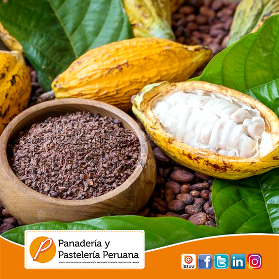 El cambio climÃ¡tico afecta al precio del cacao