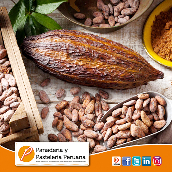 El cacao natural, un aliado muy saludable en tiempos de confinamiento