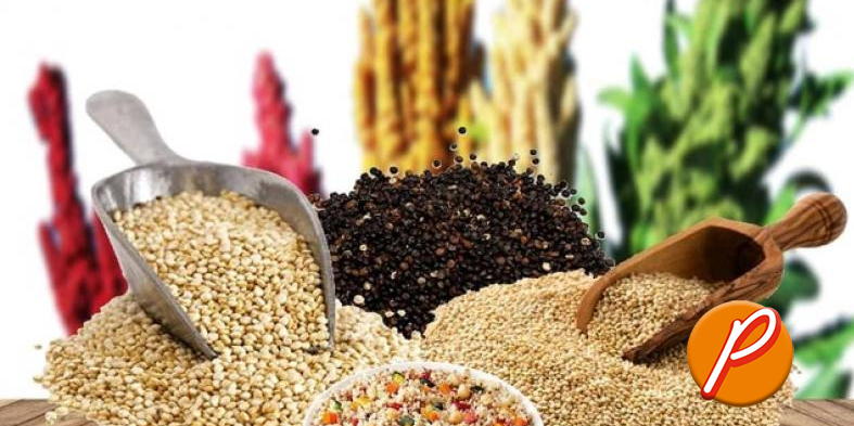 Ley de Granos Andinos busca fortalecer la seguridad alimentaria y beneficiar a más de 120,000 familias